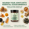 New Years Sale - Sea Moss 16-In-1 Gummies For Joint Comfort & Mobility