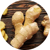 files/Ginger-icon.webp