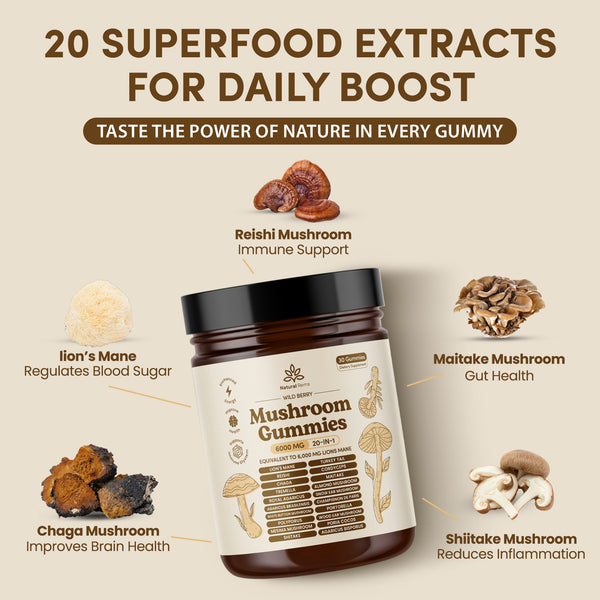 20-in-1 Mushroom Gummies