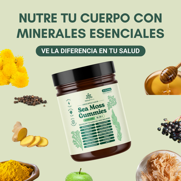 Gomitas de Musgo Marino 16 en 1
