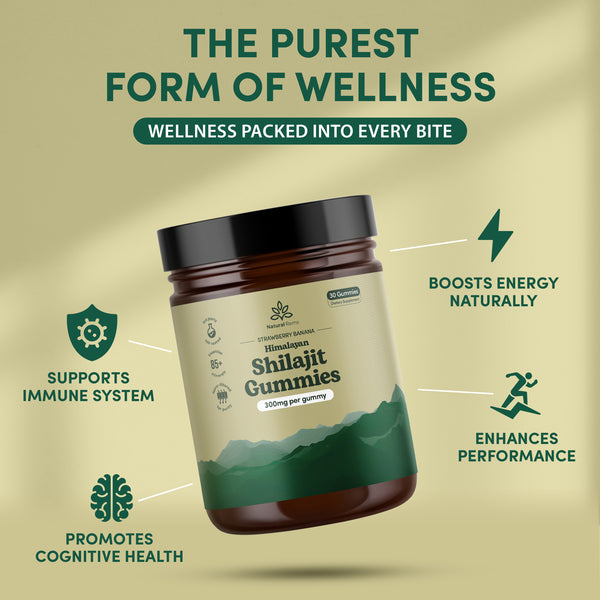 Natural Rems Shilajit Gummies