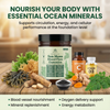 Sea Moss 16-In-1 Gummies - For Bloodflow & Male Vitality