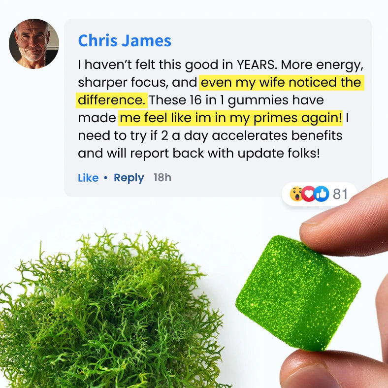 Sea Moss 16 In 1 Gummies