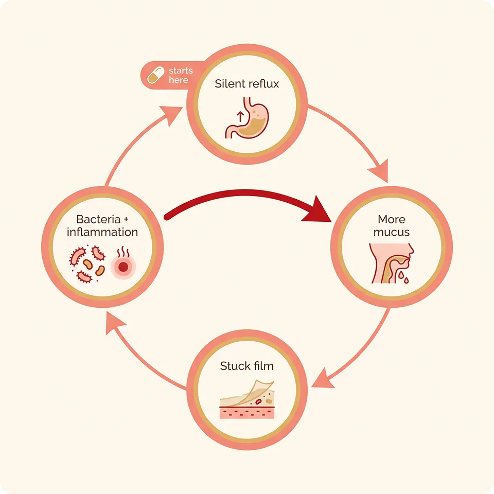 files/magnific_clean-flat-vector-diagram.webp