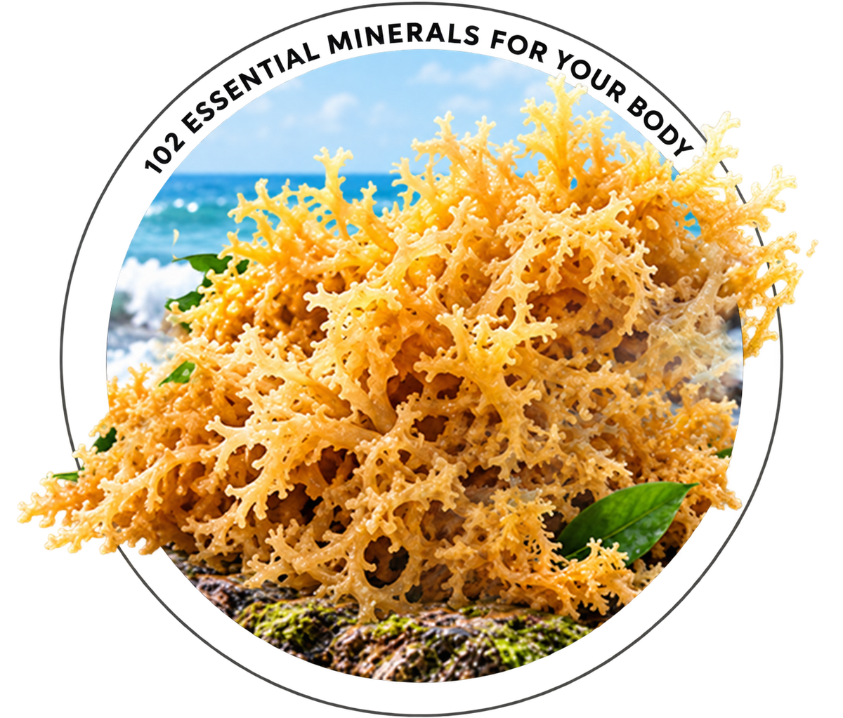 nutrient-img