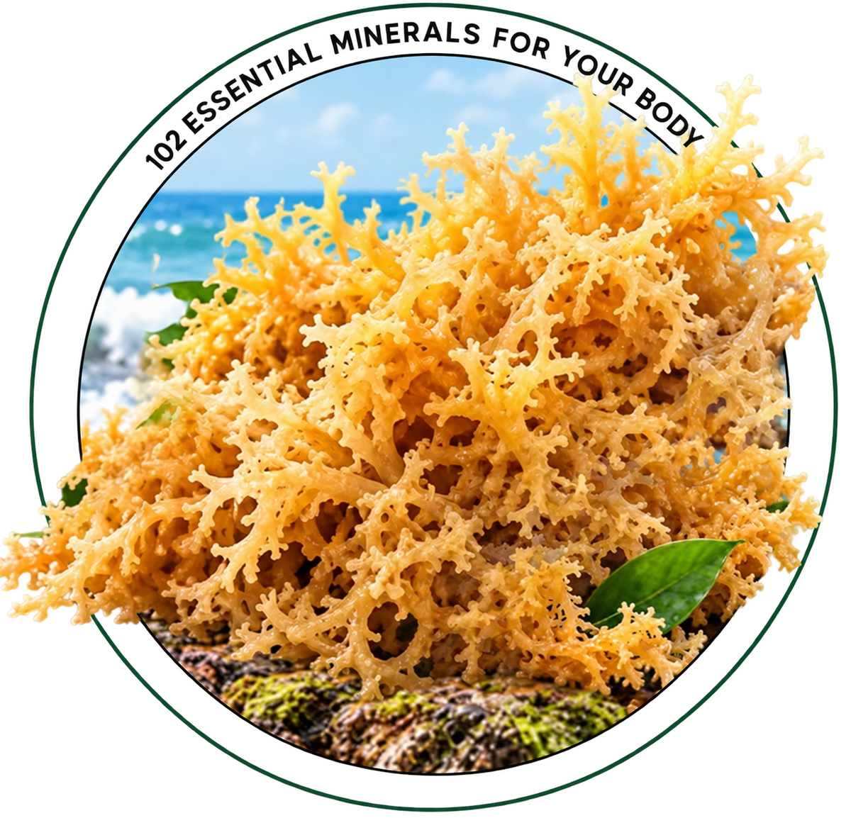 nutrient-img
