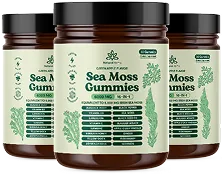 2 Jar