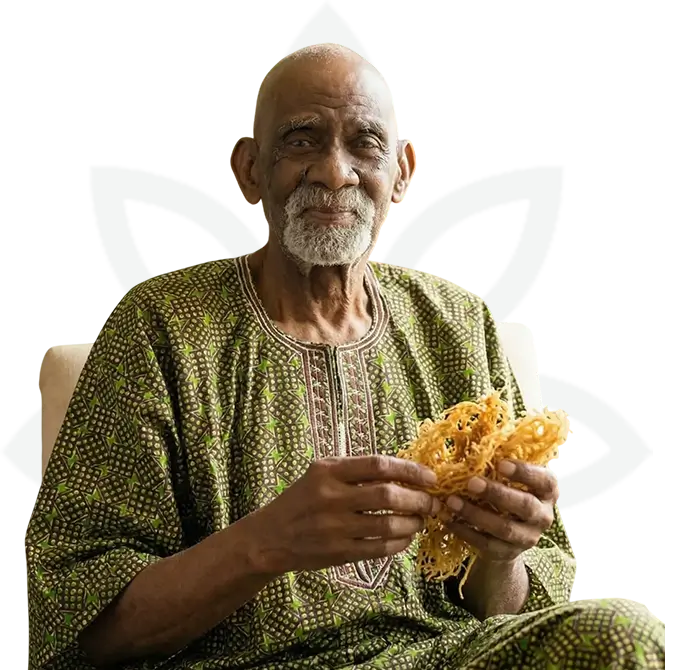 drsebi-img