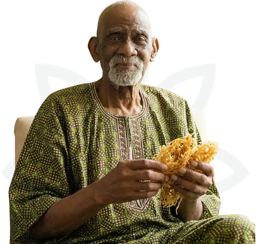 drsebi-img