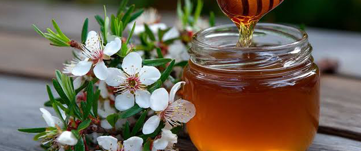 ingredient-img